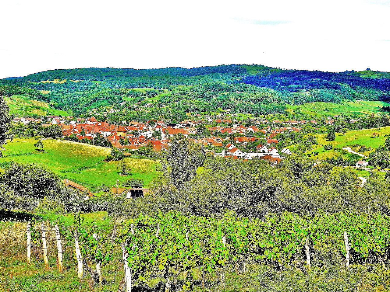 Arbois au milieu de ses vignes
